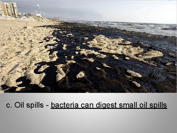 c. Oil spills - bacteria can digest small oil spills 