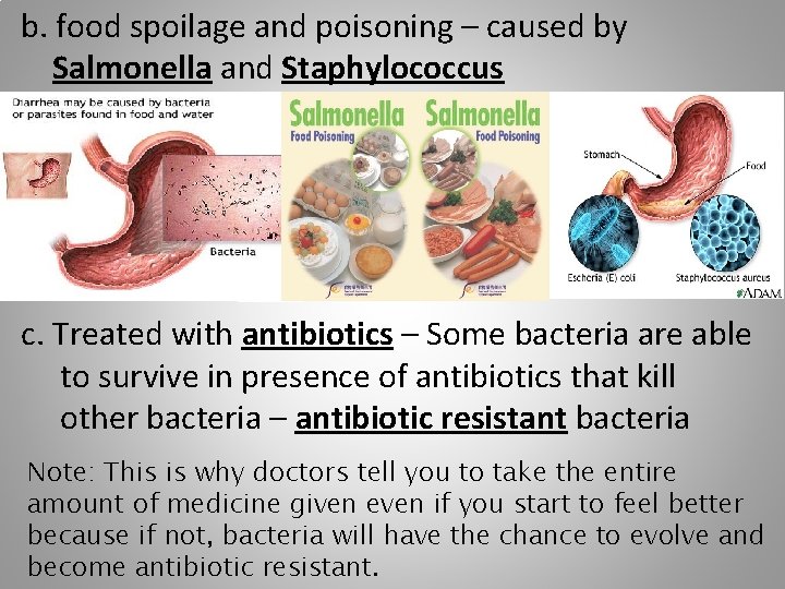 b. food spoilage and poisoning – caused by Salmonella and Staphylococcus c. Treated with