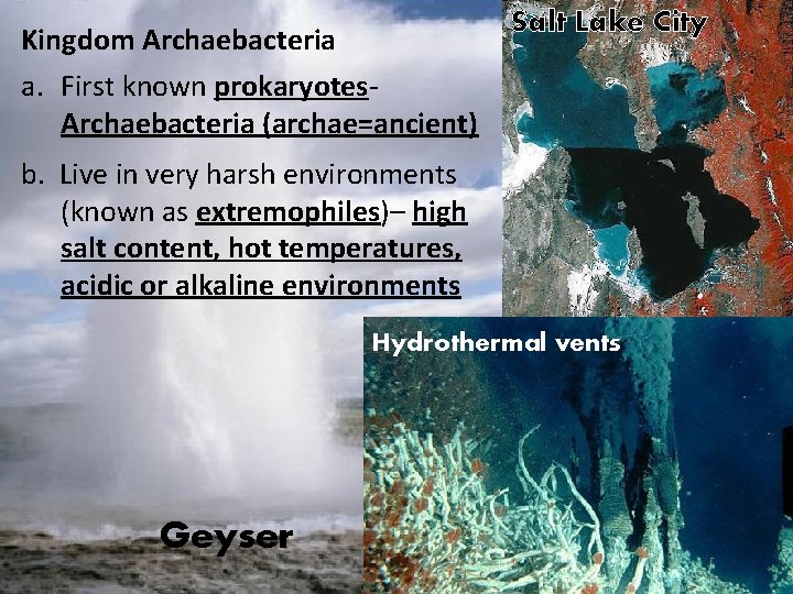 Salt Lake City Kingdom Archaebacteria a. First known prokaryotes. Archaebacteria (archae=ancient) b. Live in