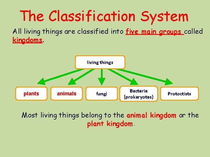 The Classification System All living things are classified into five main groups called kingdoms.