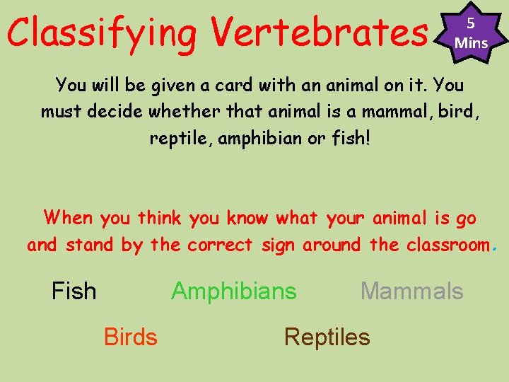 Classifying Vertebrates 5 Mins You will be given a card with an animal on