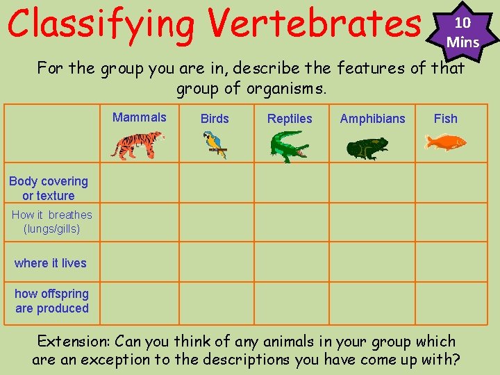 Classifying Vertebrates 10 Mins For the group you are in, describe the features of