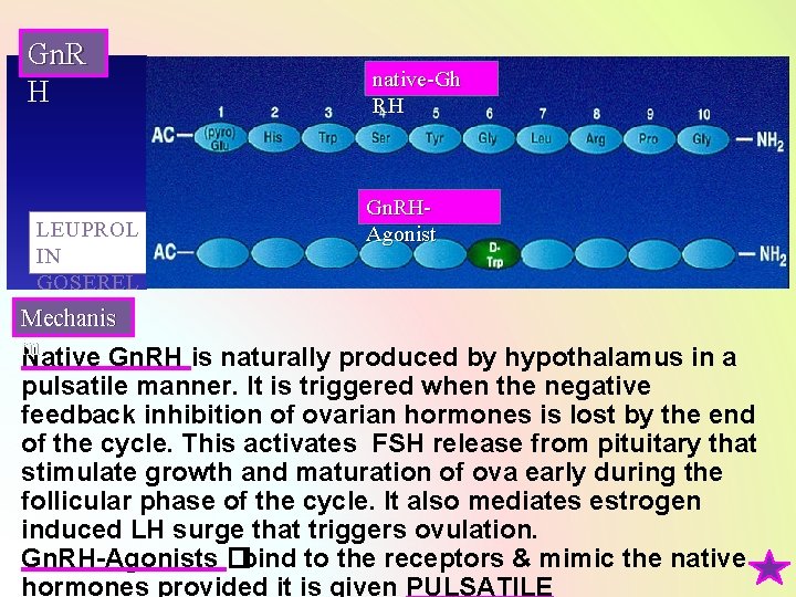 Gn. R H LEUPROL IN GOSEREL IN Mechanis native-Gh RH Gn. RHAgonist m Native