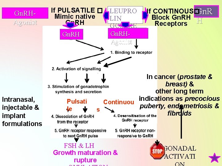 Gn. RHAgonist If PULSATILE � Mimic native Gn. RH Intranasal, injectable & implant formulations