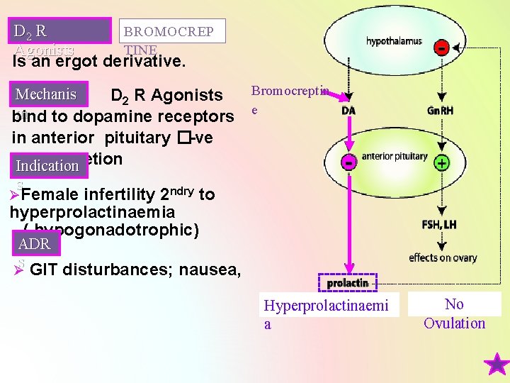 D 2 R BROMOCREP TINE Agonists Is an ergot derivative. Mechanis D 2 R