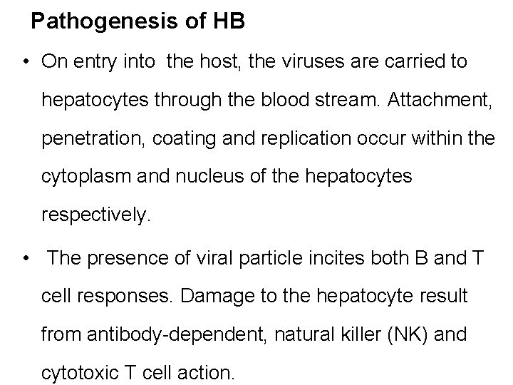Pathogenesis of HB • On entry into the host, the viruses are carried to