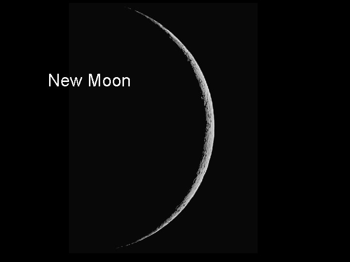 New Moon 