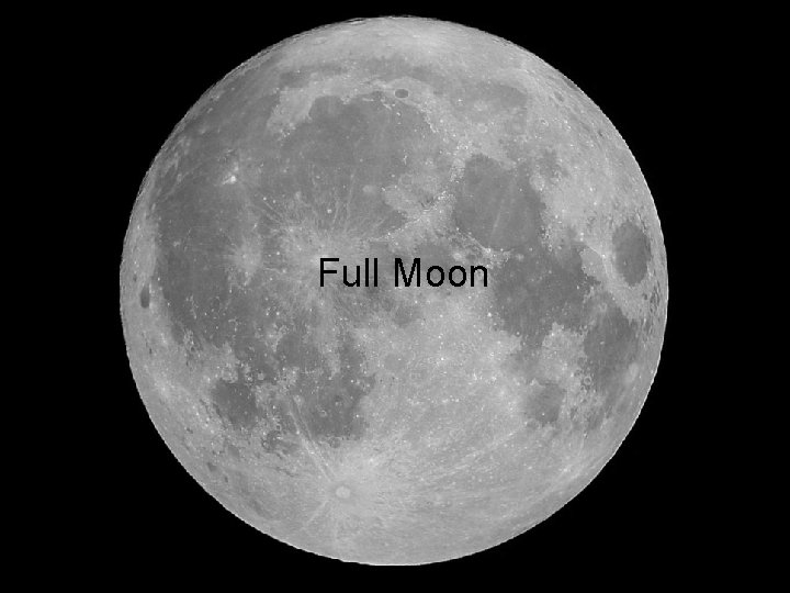 Full Moon 