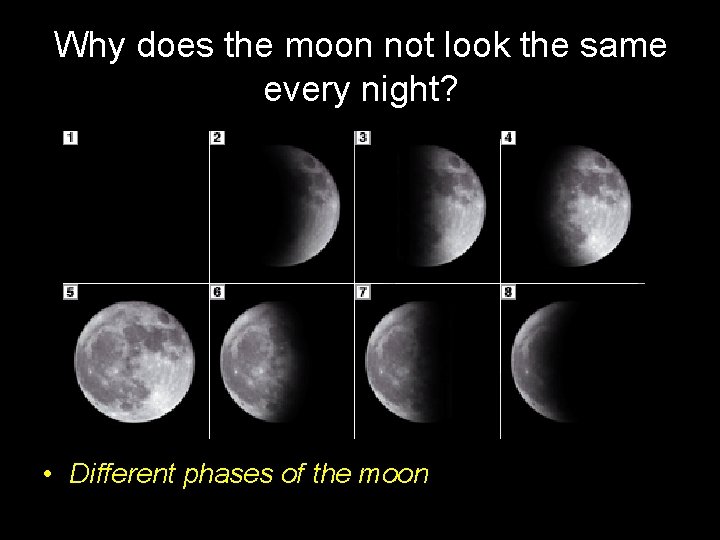Why does the moon not look the same every night? • Different phases of