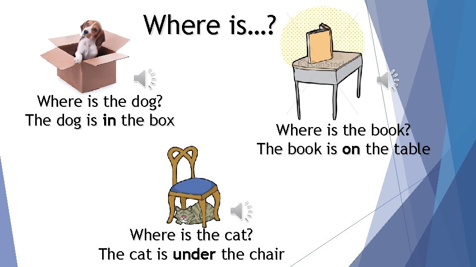 Where is…? Where is the dog? The dog is in the box Where is