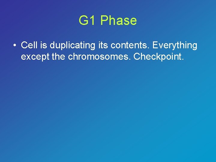 G 1 Phase • Cell is duplicating its contents. Everything except the chromosomes. Checkpoint.