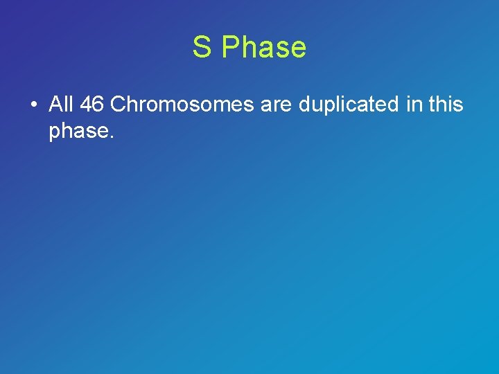 S Phase • All 46 Chromosomes are duplicated in this phase. 