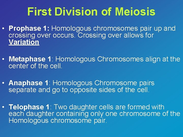 First Division of Meiosis • Prophase 1: Homologous chromosomes pair up and crossing over