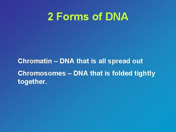 2 Forms of DNA Chromatin – DNA that is all spread out Chromosomes –