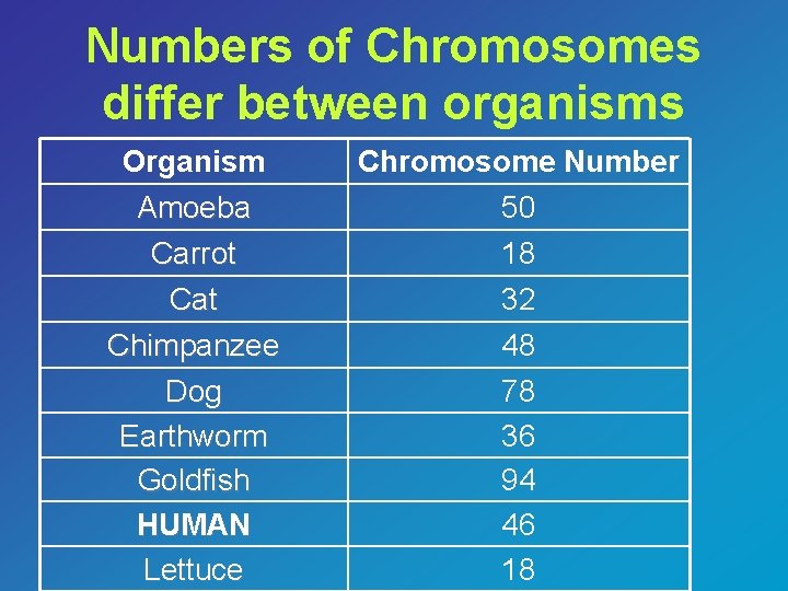 Numbers of Chromosomes differ between organisms Organism Amoeba Carrot Chromosome Number 50 18 Cat