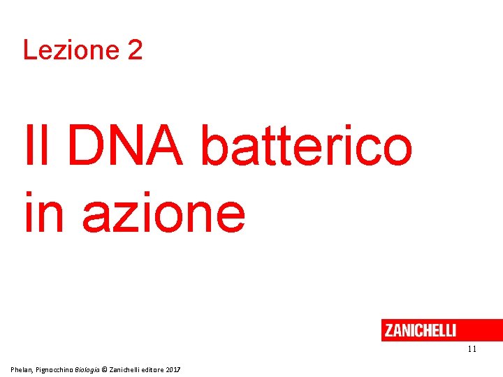 Lezione 2 Il DNA batterico in azione 11 Phelan, Pignocchino Biologia © Zanichelli editore