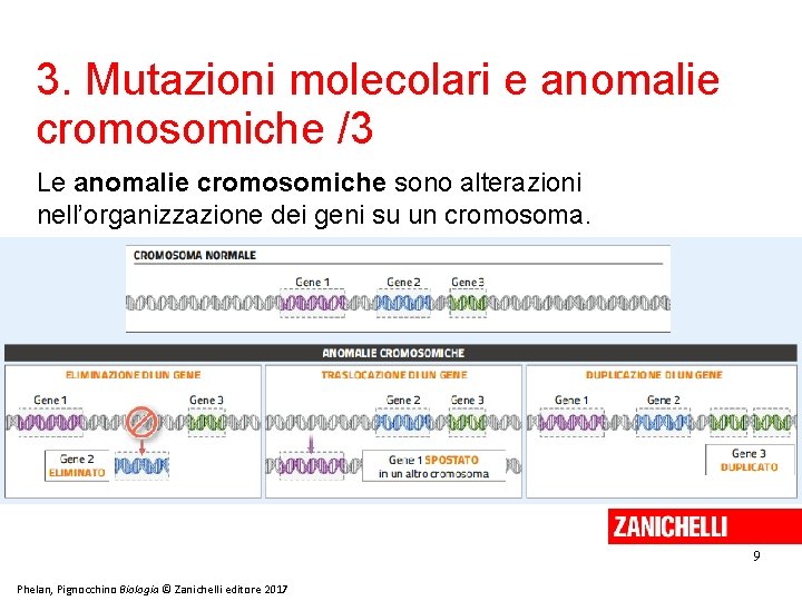 3. Mutazioni molecolari e anomalie cromosomiche /3 Le anomalie cromosomiche sono alterazioni nell’organizzazione dei