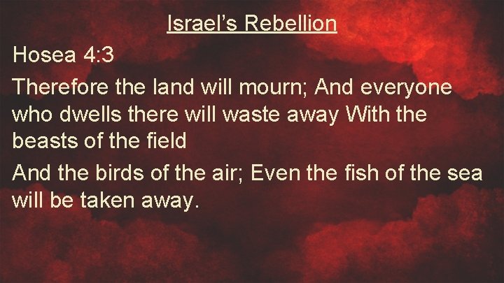 Israel’s Rebellion Hosea 4: 3 Therefore the land will mourn; And everyone who dwells