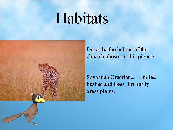 Habitats Habitats Describe the habitat of the Saguaro