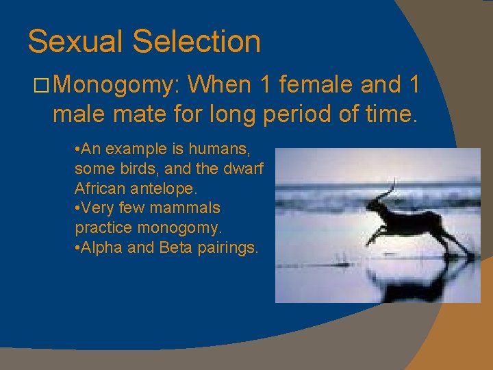 Sexual Selection �Monogomy: When 1 female and 1 male mate for long period of