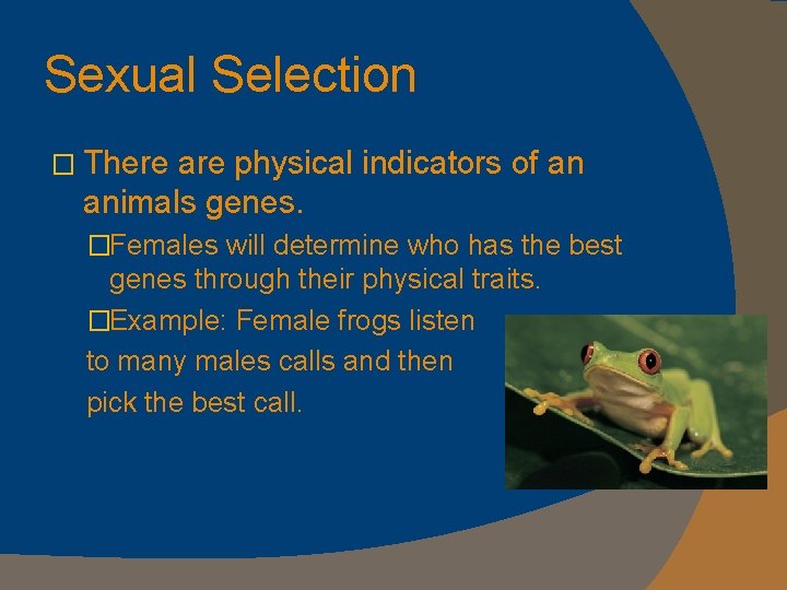 Sexual Selection � There are physical indicators of an animals genes. �Females will determine