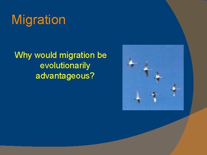 Migration Why would migration be evolutionarily advantageous? 