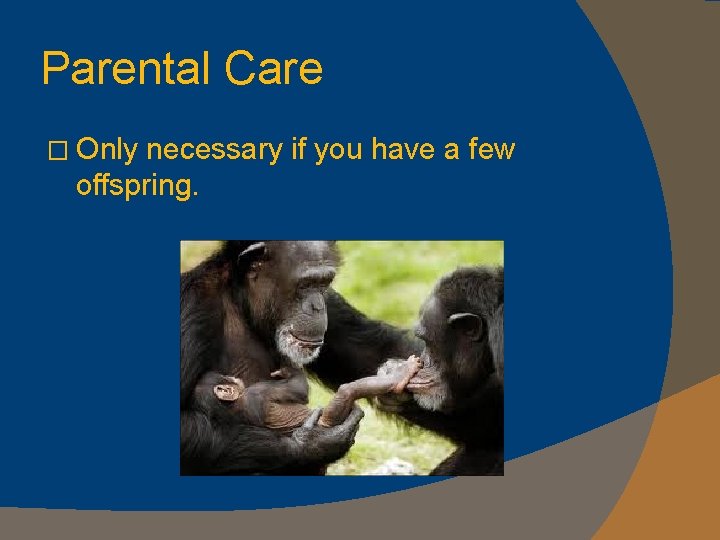 Parental Care � Only necessary if you have a few offspring. 
