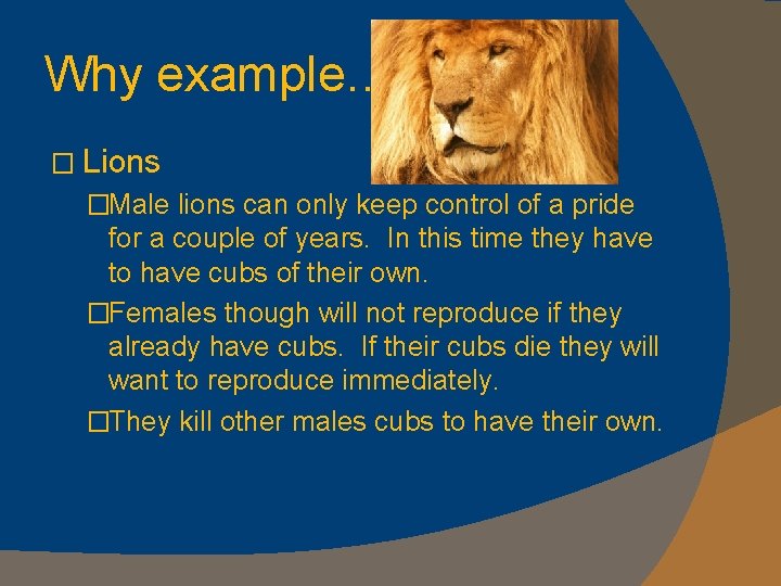 Why example… � Lions �Male lions can only keep control of a pride for