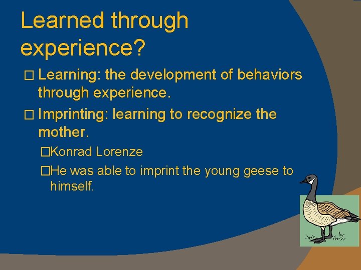 Learned through experience? � Learning: the development of behaviors through experience. � Imprinting: learning