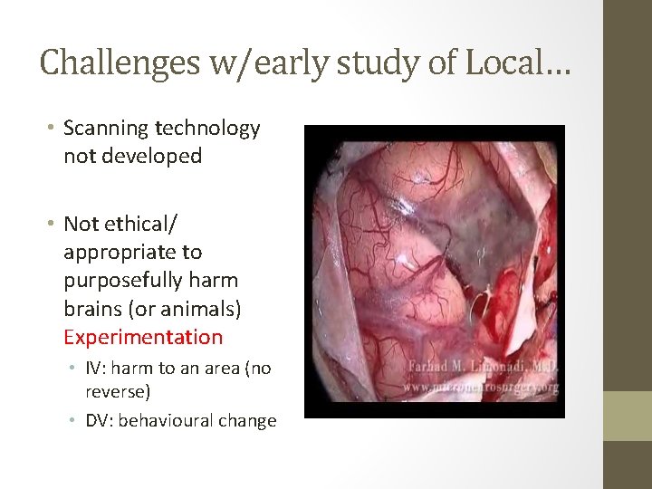 Challenges w/early study of Local… • Scanning technology not developed • Not ethical/ appropriate