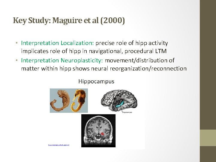Key Study: Maguire et al (2000) • Interpretation Localization: precise role of hipp activity