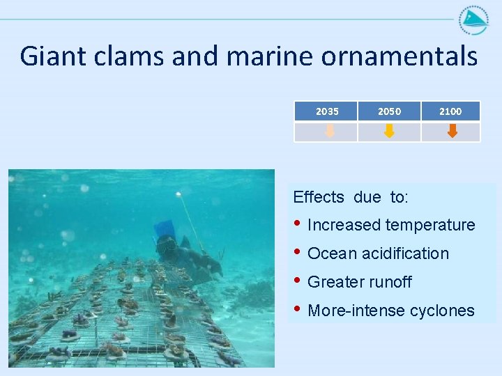 Giant clams and marine ornamentals 2035 2050 2100 Effects due to: • • Increased