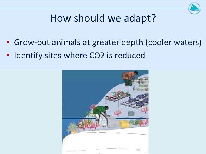 How should we adapt? • Grow-out animals at greater depth (cooler waters) • Identify