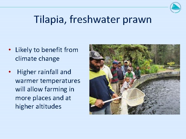 Tilapia, freshwater prawn • Likely to benefit from climate change • Higher rainfall and