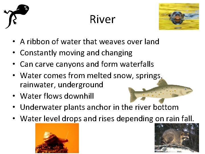 River A ribbon of water that weaves over land Constantly moving and changing Can