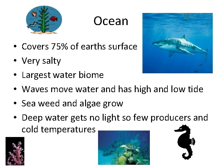 Ocean • • • Covers 75% of earths surface Very salty Largest water biome