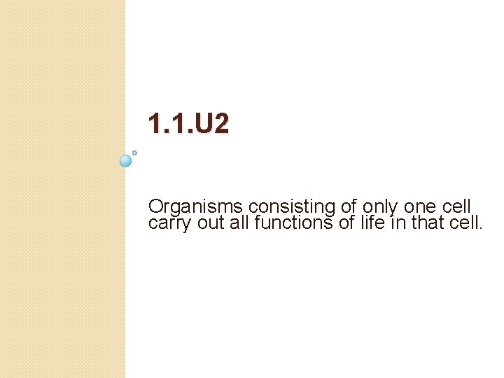 1. 1. U 2 Organisms consisting of only one cell carry out all functions