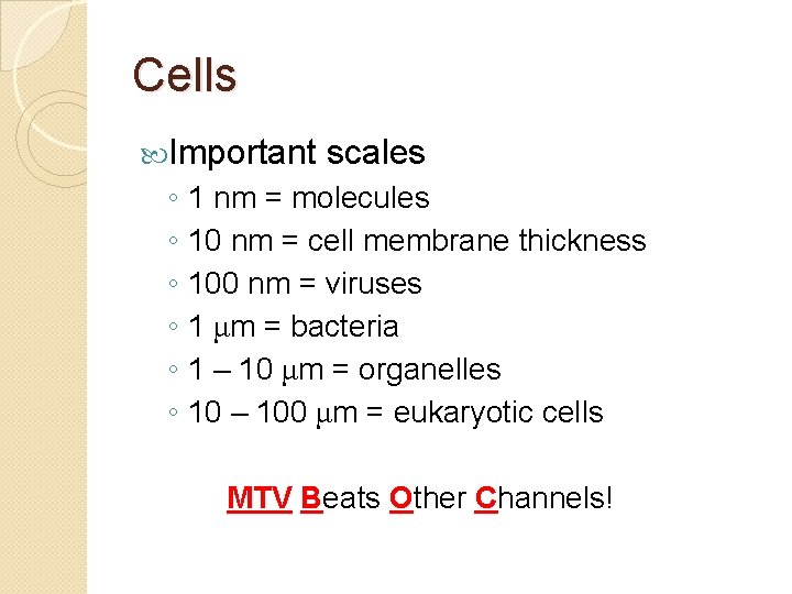 Cells Important ◦ ◦ ◦ scales 1 nm = molecules 10 nm = cell