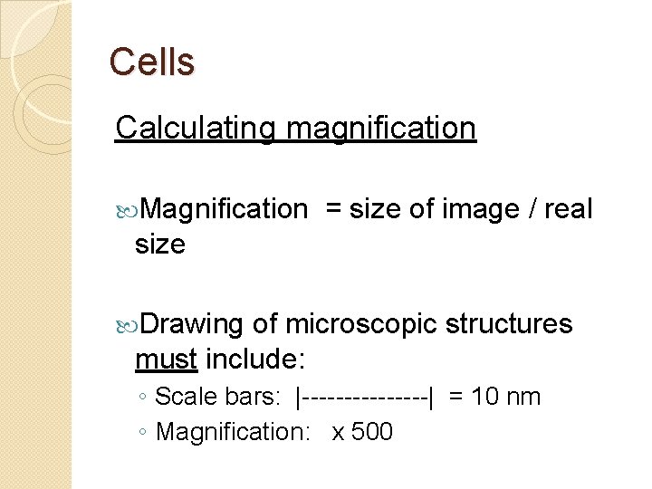 Cells Calculating magnification Magnification = size of image / real size Drawing of microscopic