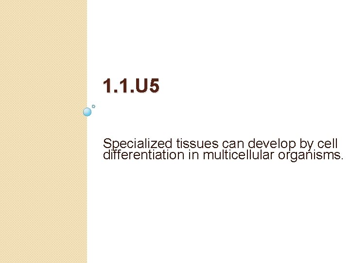 1. 1. U 5 Specialized tissues can develop by cell differentiation in multicellular organisms.