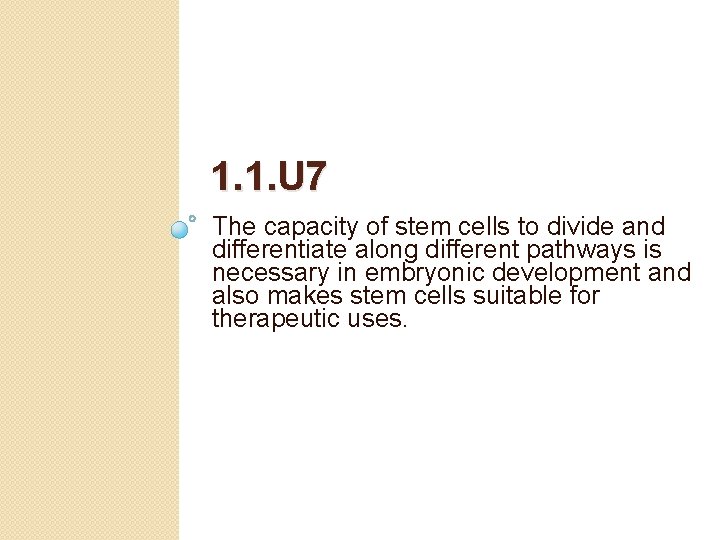1. 1. U 7 The capacity of stem cells to divide and differentiate along