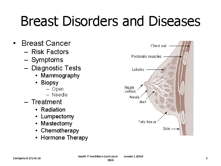 Breast Disorders and Diseases • Breast Cancer – Risk Factors – Symptoms – Diagnostic Breast Disorders and Diseases • Breast Cancer – Risk Factors – Symptoms – Diagnostic