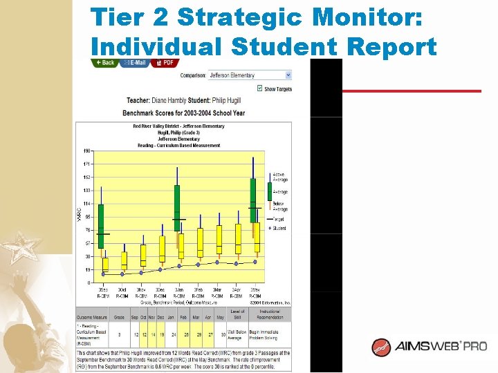 Tier 2 Strategic Monitor: Individual Student Report 