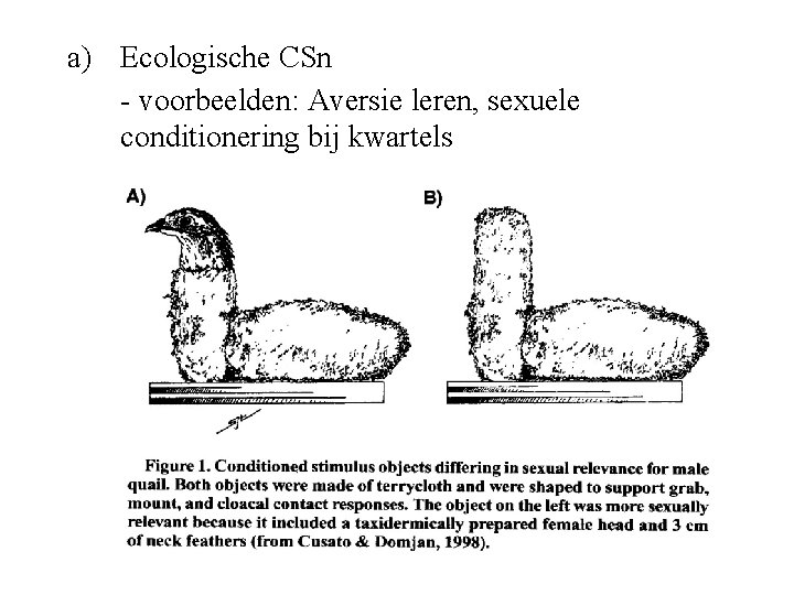 a) Ecologische CSn - voorbeelden: Aversie leren, sexuele conditionering bij kwartels 