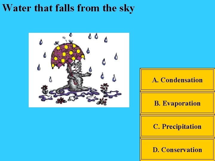 Water that falls from the sky A. Condensation B. Evaporation C. Precipitation D. Conservation