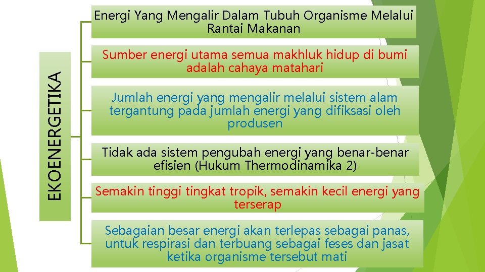 EKOENERGETIKA Energi Yang Mengalir Dalam Tubuh Organisme Melalui Rantai Makanan Sumber energi utama semua