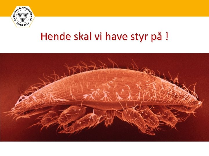 Hende skal vi have styr på ! Kommentar 