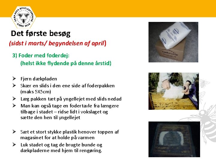 Det første besøg (sidst i marts/ begyndelsen af april) 3) Foder med foderdej: (helst