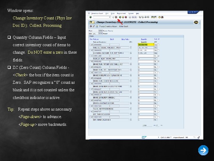 Window opens: Change Inventory Count {Phys Inv Doc ID}: Collect. Processing q Quantity Column