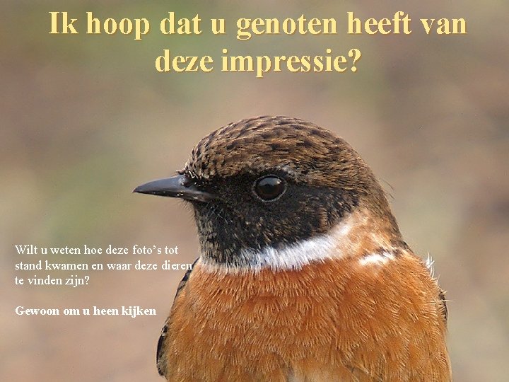 Ik hoop dat u genoten heeft van deze impressie? Wilt u weten hoe deze